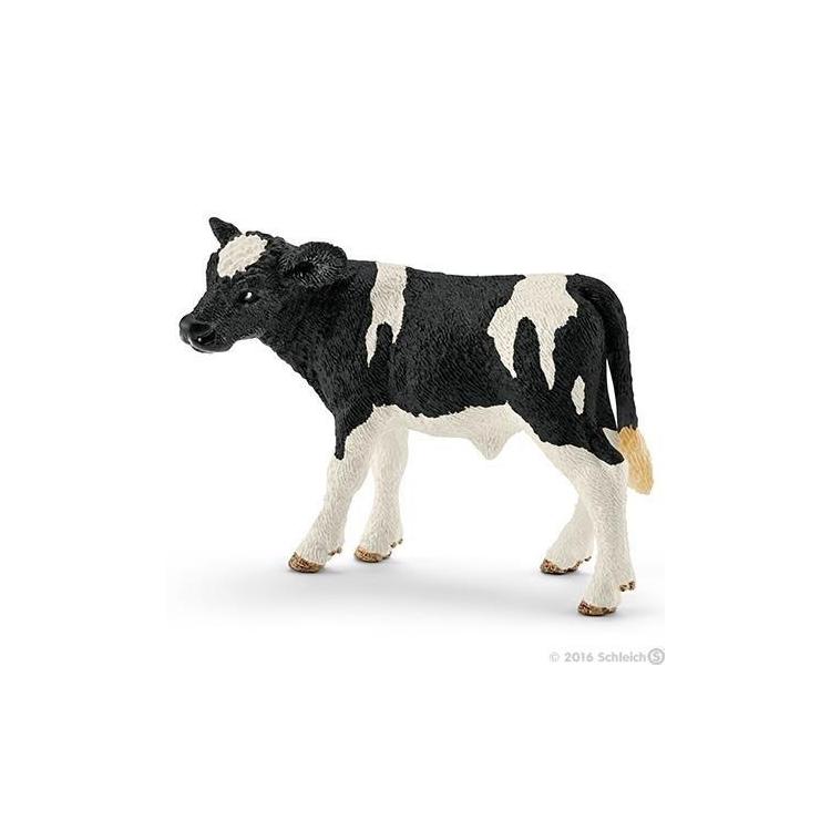 Cielę rasy Holstein