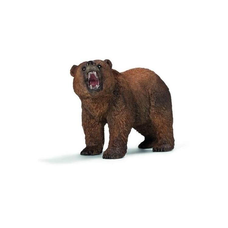Niedźwiedź grizzly