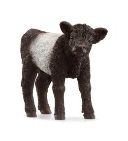 Cielę rasy galloway