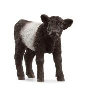 Cielę rasy galloway