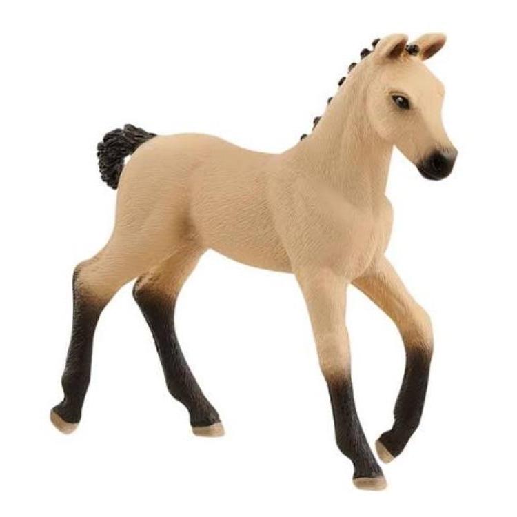 Koń Źrebię rasy Hanoverian Red Dun