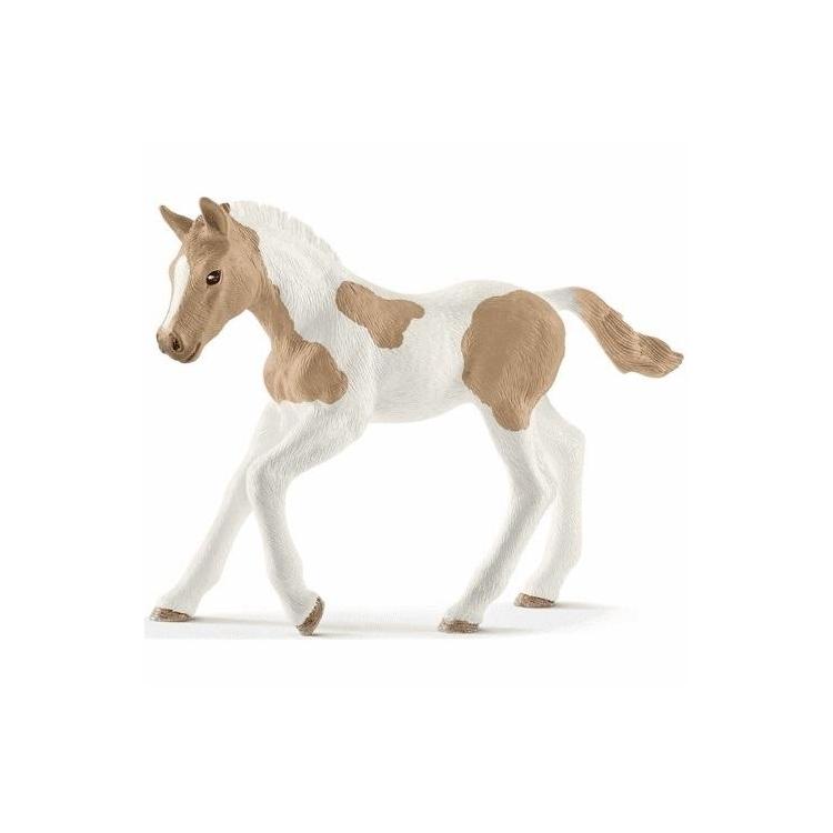 Źrebię rasy Paint Foal