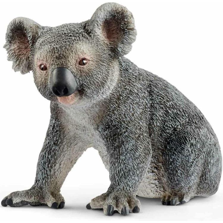 Miś Koala