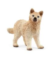 Szczenię wilka polarnego