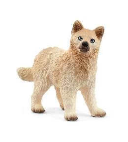 Szczenię wilka polarnego