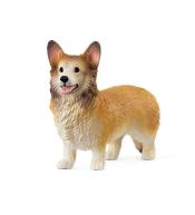 Corgi