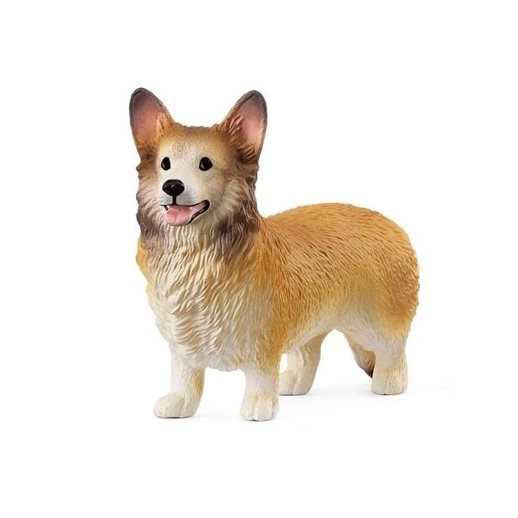Corgi