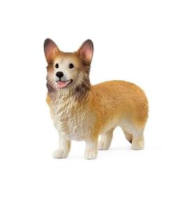 Corgi