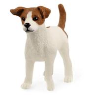 Jack Russell Terrier