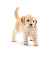 Szczenię Golden Retriever