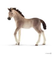 Źrebię rasy Andaluzyjskiej