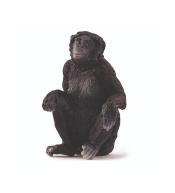 Samica szympansa karłowatego