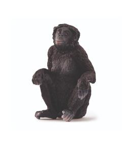 Samica szympansa karłowatego