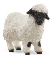 Owca walliserska czarnonosa