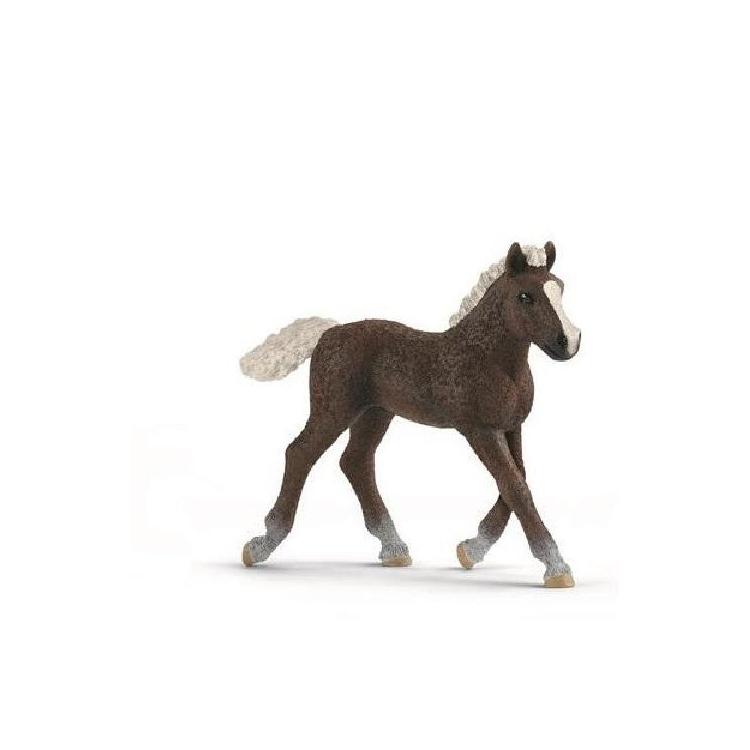 Źrebię ze Schwarzwaldu