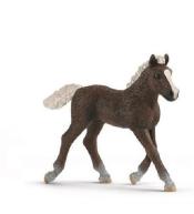 Źrebię ze Schwarzwaldu