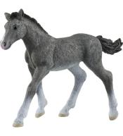 Źrebię rasy trakeńskiej