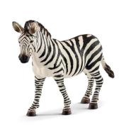 Samica zebry Wild Life