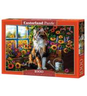 Puzzle 1000 Blooming Cat Meditation CASTOR