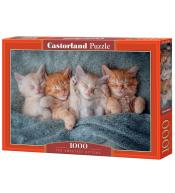 Puzzle 1000 The Sweetest Kittens CASTOR