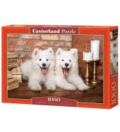 Puzzle 1000 Samoyed Puppies Say Hello CASTOR