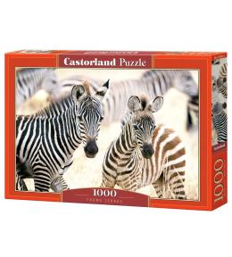 Puzzle 1000 Young Zebras CASTOR
