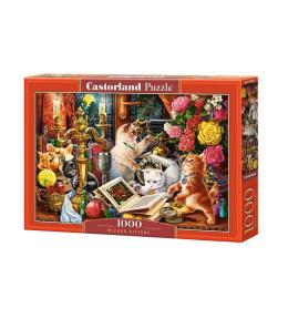 Puzzle 1000 Wizard Kittens CASTOR