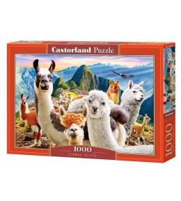 Puzzle 1000 Lamy CASTOR