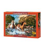 Puzzle 1000 Konie CASTOR