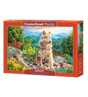 Puzzle 1000 New Generation CASTOR