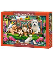 Puzzle 1000 Pets in the Park CASTOR