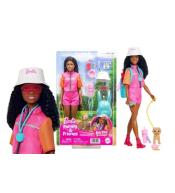 Barbiem Adventure Brooklyn