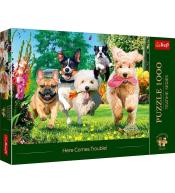 Puzzle 1000 Nadchodzą kłopoty TREFL