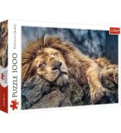 Puzzle 1000 Śpiący lew TREFL
