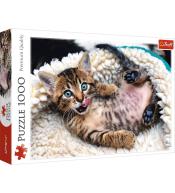 Puzzle 1000 Wesoły kotek TREFL