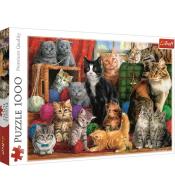 Puzzle 1000 Kocie spotkanie TREFL