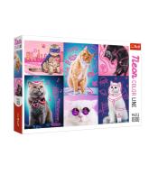 Puzzle 1000 Neon Color Line - Super cats TREFL