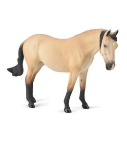 Klacz Lusitano maści buttermilk buckskin Deluxe