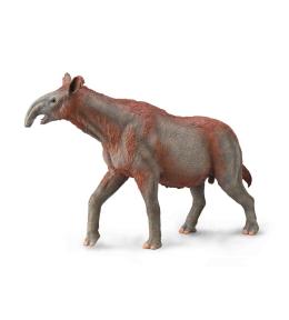 Paraceratherium
