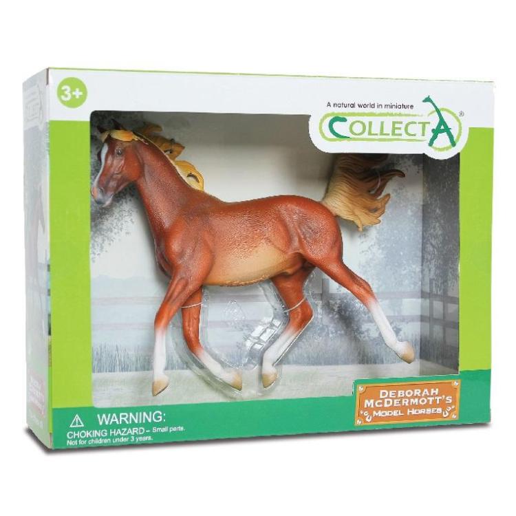 Koń arabski kasztan