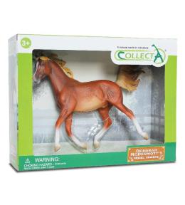 Koń arabski kasztan