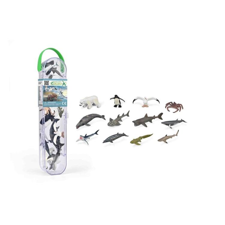 Box z minizwierzętami morskimi