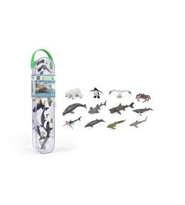 Box z minizwierzętami morskimi