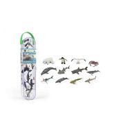 Box z minizwierzętami morskimi