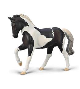 Ogier Ciepłokrwisty Czarny Tobiano