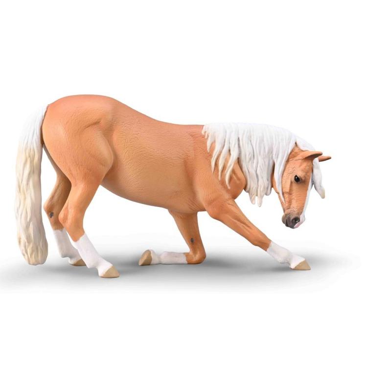 Klacz lusitiano kłaniająca się maści izabelowatej