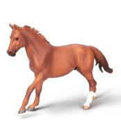 Ogier Phar Lap maści kasztanowej