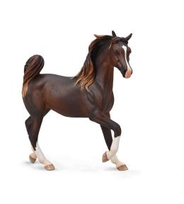 Arabska klacz wątrobowa