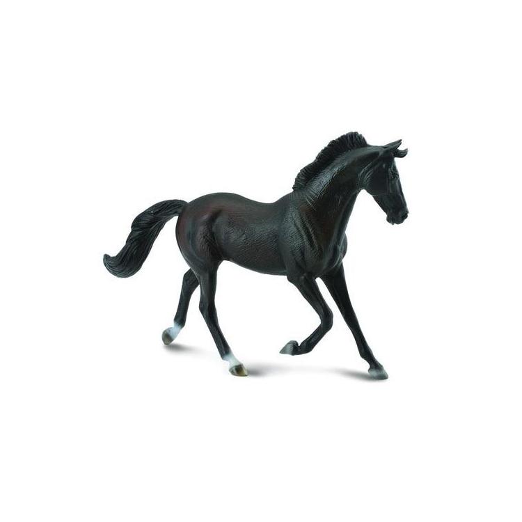 Klacz thooroughbred maści czarnej