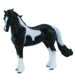 Ogier rasy Barock Pinto